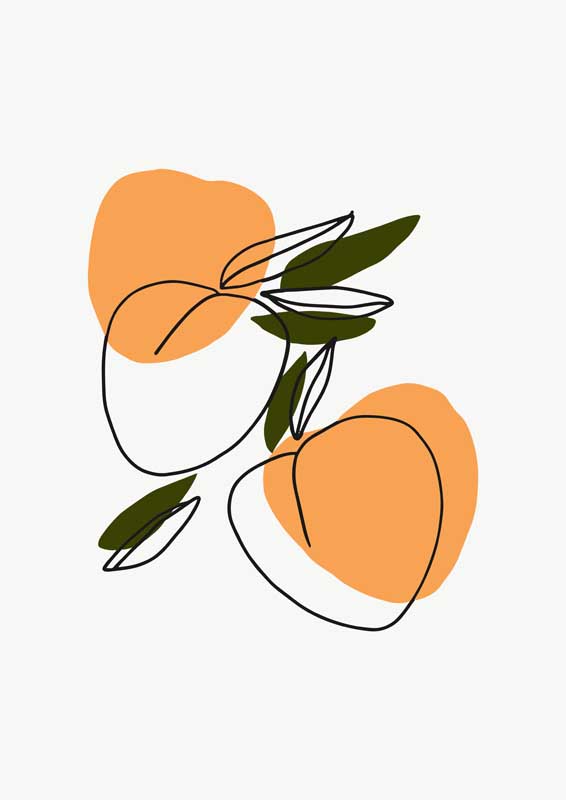 涮四季视频在线一区在线看